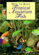 How to Keep Tropical Aquarium Fish