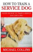 How to Train a Service Dog: Guide on How to Train a Service Dog Like a Pro