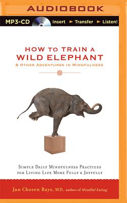 How to Train a Wild Elephant & Other Adventures in Mindfulness: Simple Daily Mindfulness Practices for Living Life More Fully & Joyfully - Bays, Jan Chozen, MD (Read by)