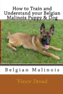How to Train and Understand Your Belgian Malinois Puppy & Dog