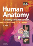 Human Anatomy: A Clinically-Orientated Approach