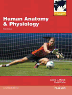Human Anatomy & Physiology: International Edition