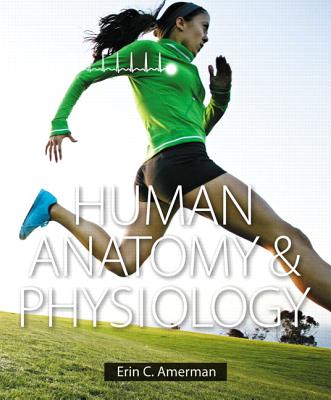 Human Anatomy & Physiology Plus Mastering A&P with eText -- Access Card Package - Amerman, Erin C.