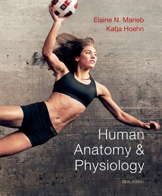 Human Anatomy & Physiology - Marieb, Elaine N., and Hoehn, Katja