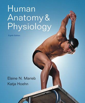 Human Anatomy & Physiology - Marieb, Elaine Nicpon, and Hoehn, Katja