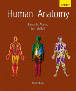 Human Anatomy Update