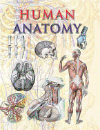 Human Anatomy