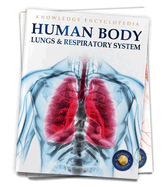 Human Body: Lungs and Respiratory System