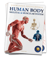 Human Body: Skeletal and Muscular System