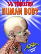 Human Body