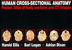 Human Cross-Sectional Anatomy: Pocket Atlas of Body Sections and CT Images
