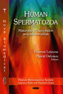 Human Spermatozoa: Maturation, Capacitation & Abnormalities