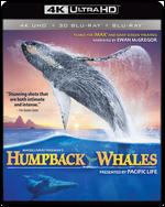 Humpback Whales - Greg MacGillivray