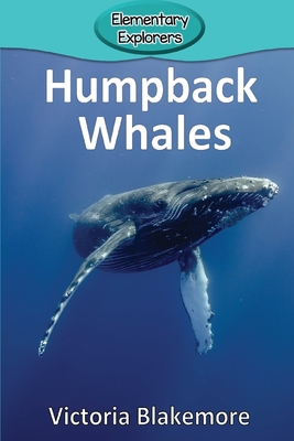 Humpback Whales - Blakemore, Victoria