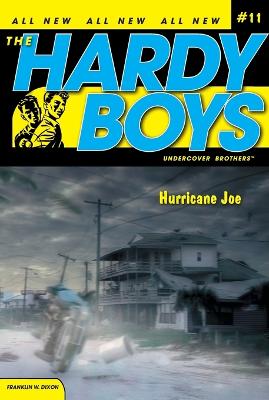 Hurricane Joe - Dixon, Franklin W