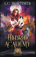 Hybrid Academy: Year Two