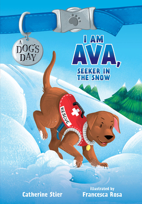 I Am Ava, Seeker in the Snow: Volume 2 - Stier, Catherine