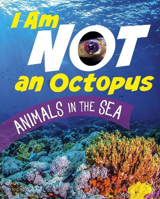 I Am Not an Octopus: Animals in the Ocean - Bolte, Mari