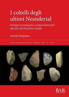 I coltelli degli ultimi Neandertal: Strategie tecnologiche e comportamentali alla fine del Paleolitico Medio - Delpiano, Davide
