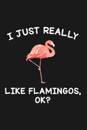 I Just Really Like Flamingos Ok: Blank Lined Notebook to Write In for Notes, To Do Lists, Notepad, Journal, Funny Gifts for Flamingo Lover