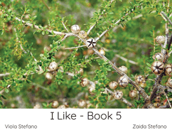 I Like - Book 5