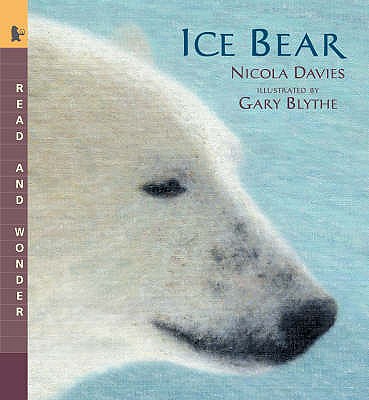 Ice Bear - Davies Nicola, and Blythe Gary
