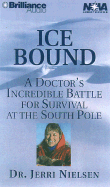 Ice Bound: A Doctor