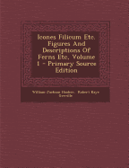 Icones Filicum Etc. Figures and Descriptions of Ferns Etc, Volume 1 - Primary Source Edition