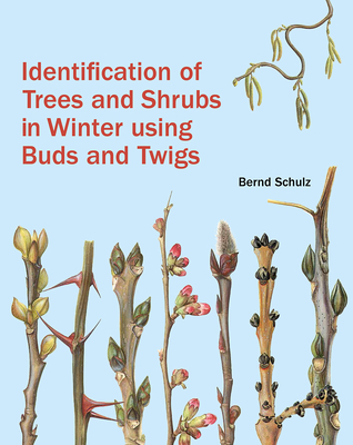 Identification of Trees and Shrubs in Winter Using Buds and Twigs - Schulz, Bernd