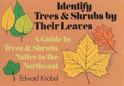 Identify Trees and Shrubs by Their Leaves - Knobel, Edward