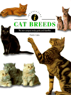 Identifying Cat Breeds - Cutts, Paddy