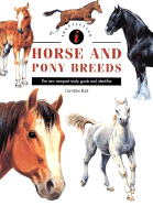 Identifying Horse & Pony Breeds