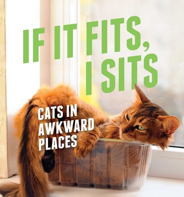 If It Fits, I Sits: Cats in Awkward Places - Various