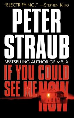 If You Could See Me Now - Straub, Peter