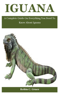 Iguana: A Complete Guide On Everything You Need To Know About Iguana