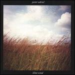 Illini Wind - Peter Adriel