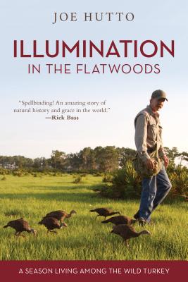 Illumination in the Flatwoods: A Season Living Among the Wild Turkey - Hutto, Joe