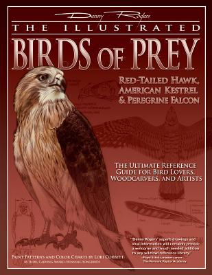 Illustrated Birds of Prey: Red-Tailed Hawk, American Kestral, & Peregrine Falcon: The Ultimate Reference Guide for Bird Lovers, Woodcarvers, and Artists - Rogers, Denny