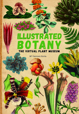 Illustrated Botany: The Virtual Plant Museum - Soria, Carmen