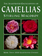 Illustrated Encyclopedia of Camellias - Macoboy, Stirling, and Mann, Roger