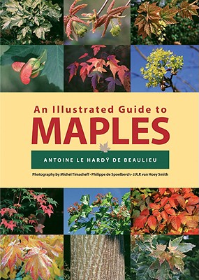 Illustrated Guide to Maples - de Beaulieu, Antoine Le Hardy, and Le Hardy de Beaulieu, Antoine, and Beaulieu, Antoine Le Hard&yuml
