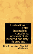 Illustrations of Exotic Entomology; Containing Upwards of six Hundred And Fifty Figures And