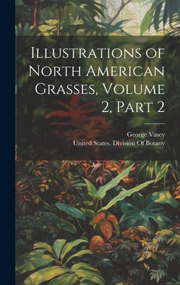 Illustrations of North American Grasses, Volume 2, part 2 - Vasey, George, and United States Division of Botany (Creator)