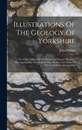 Illustrations Of The Geology Of Yorkshire: Or, A Description Of The Strata And Organic Remains: Accompanied By A Geological Map, Sections And Plates Of The Fossil Plants And Animals