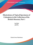 Illustrations of Typical Specimens of Coleoptera in the Collection of the British Museum, Part 1: Lycidae (1879)