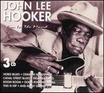 I'm in the Mood [Goldies Box Set] - John Lee Hooker