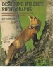 Designing Wildlife Photographs