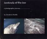 Sentinels of the Sea: A Photographic Journey