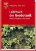 Lehrbuch Der Geobotanik: Pflanze Und Vegetation in Raum Und Zeit (Gebundene Ausgabe) Von Wolfgang Frey (Autor), Rainer Lsch