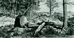 Photograph of Work By Max Klinger